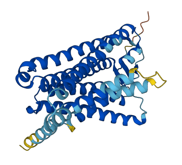 Olfr1 3D structure