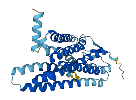 Olfr476 3D structure