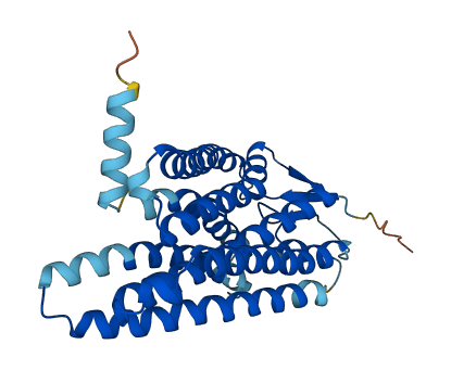 Olfr481 3D structure