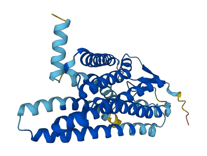 Olfr477 3D structure