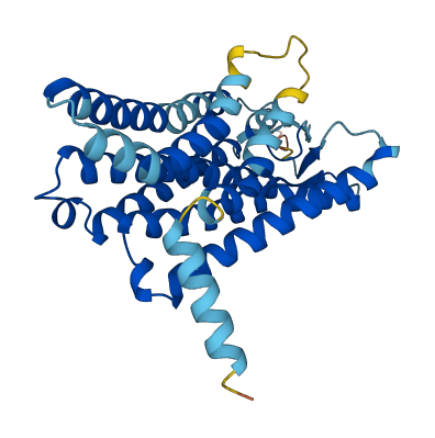 Olfr50 3D structure