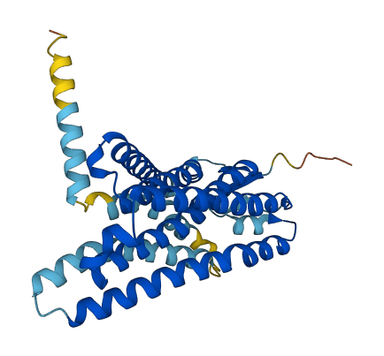 Olfr181 3D structure