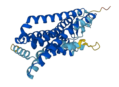 Olfr1052 3D structure