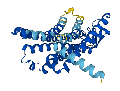 Olfr1044 3D structure