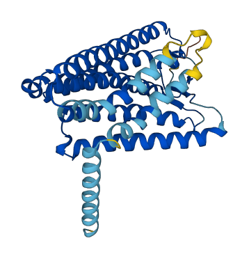 Olfr1038 3D structure