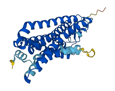 Olfr1019 3D structure