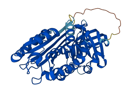 Serpinb1b 3D structure