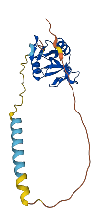 Clec2f 3D structure