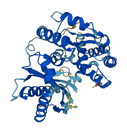 Oas1d 3D structure