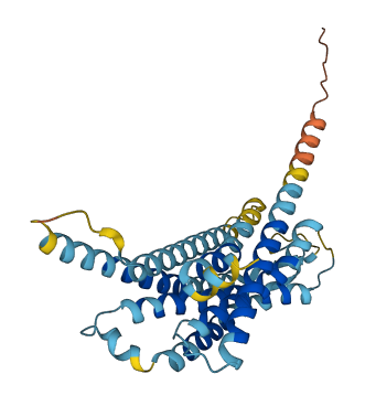 Vmn1r51 3D structure
