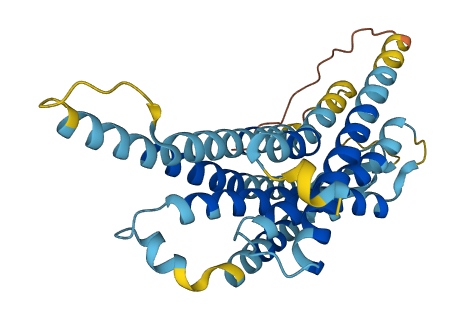 Vmn1r45 3D structure