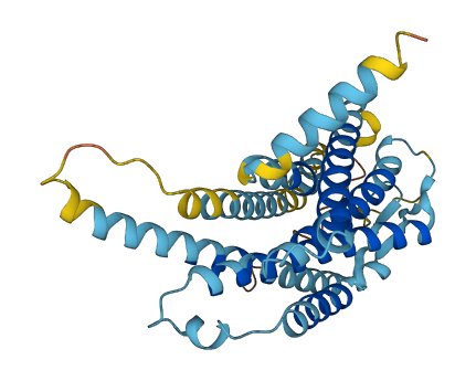 Vmn1r43 3D structure