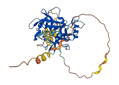 Prss42 3D structure