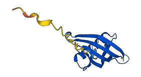 Cst14 3D structure