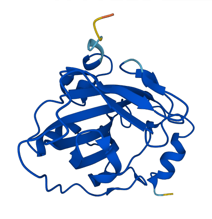 Pbp2 3D structure