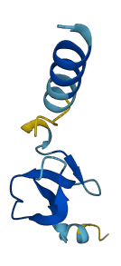DEFB104A 3D structure