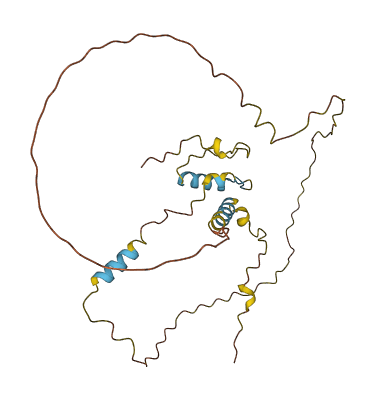C16orf78 3D structure