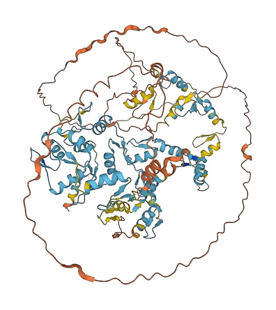 ZNF473 3D structure