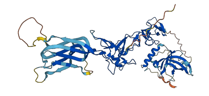 NTN5 3D structure