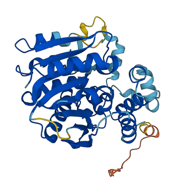 ABHD5 3D structure