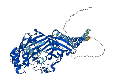SCARB1 3D structure