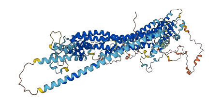 COG1 3D structure