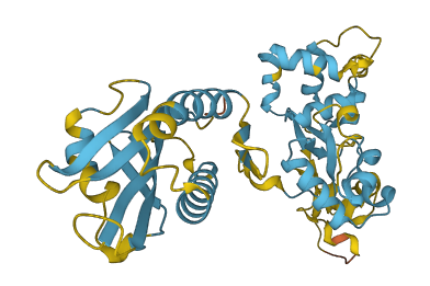 NPRL2 3D structure