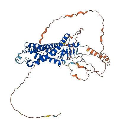 ZDHHC1 3D structure