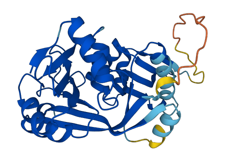 GLYATL2 3D structure