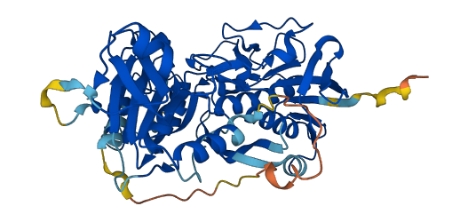 PYROXD1 3D structure