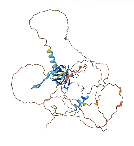FRS2 3D structure