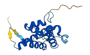 MZB1 3D structure
