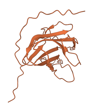 C7orf33 3D structure