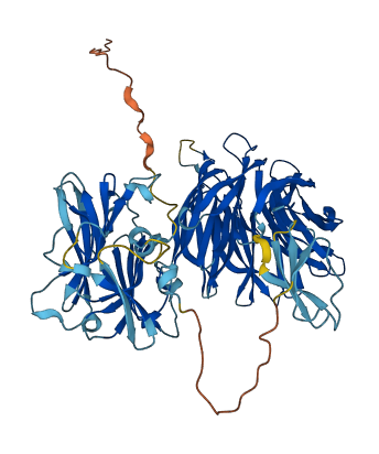 TSPEAR 3D structure
