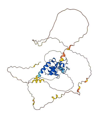 SMAP2 3D structure