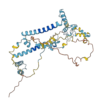 ZC3H15 3D structure