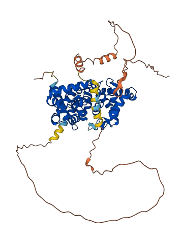 TBC1D22A 3D structure