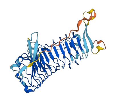 TSKU 3D structure