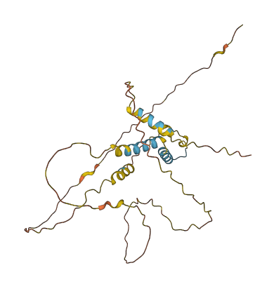 FAM216A 3D structure