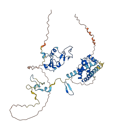 PHF10 3D structure