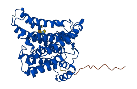 CHPT1 3D structure