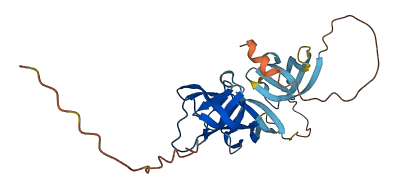 CT55 3D structure