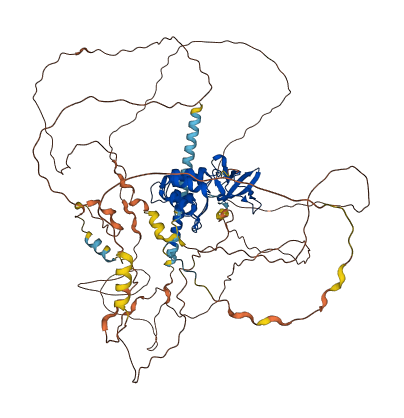 PPP1R13L 3D structure