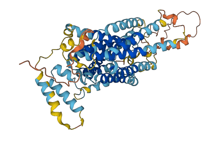 SLC22A17 3D structure