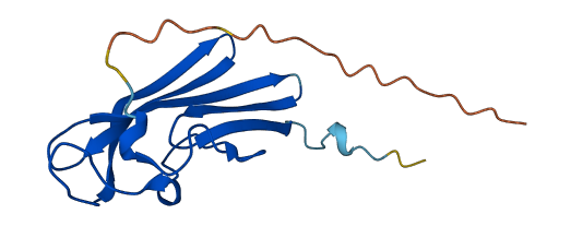 CHURC1 3D structure