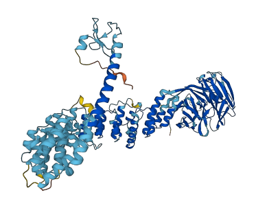 TGFBRAP1 3D structure
