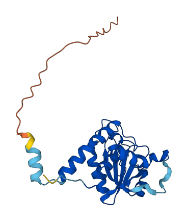 STYX 3D structure