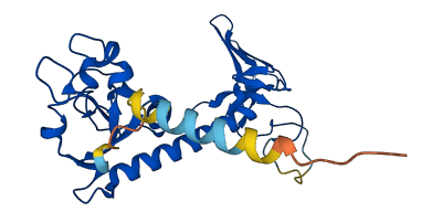 CYB5D2 3D structure
