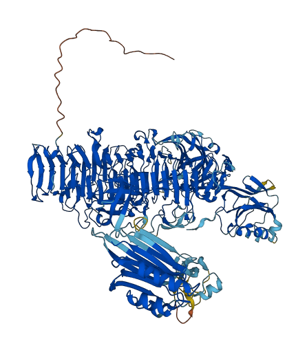 CEMIP 3D structure
