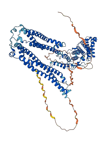 PDCD6IP 3D structure